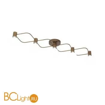 Потолочный светильник ST Luce Tavere SL413.212.05 - Фото 1