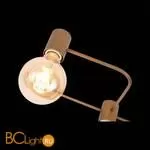 Потолочный светильник ST Luce Tavere SL413.212.05 - Фото 6