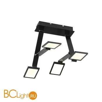 Потолочный светильник ST Luce Teocoli SL841.402.04