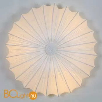 Настенно-потолочный светильник ST Luce SL351.052.05