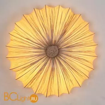 Настенно-потолочный светильник ST Luce SL351.072.05