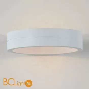 Уличный настенный светильник ST Luce Tire SL562.501.01