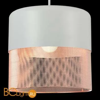 Подвесной светильник ST Luce SL976.443.01