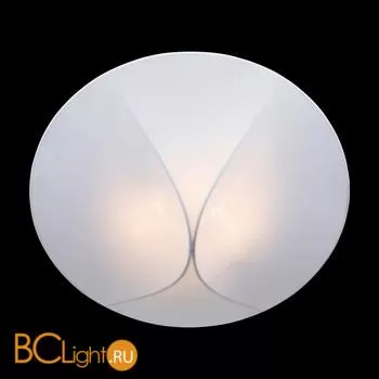 Потолочный светильник ST Luce Tonico SL360.552.02