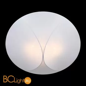 Потолочный светильник ST Luce Tonico SL360.552.04 - Фото 0