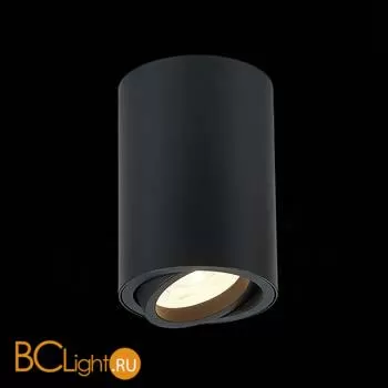 Потолочный светильник ST Luce Torus ST108.407.01 - Фото 0