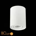 Потолочный светильник ST Luce Torus ST108.517.01