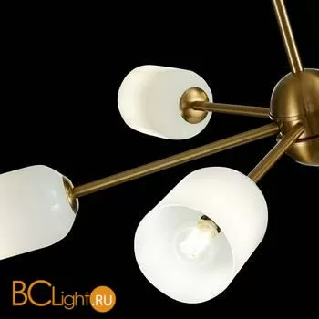 Люстра ST Luce Treviso SL1180.202.06 - Фото 6