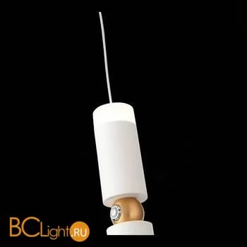 Подвесной светильник ST Luce Tuore SL1592.503.01 - Фото 4