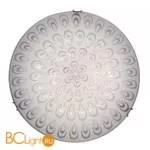 Настенно-потолочный светильник ST Luce Universale SL491.502.01