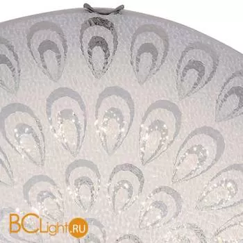 Настенно-потолочный светильник ST Luce Universale SL491.512.01 - Фото 0