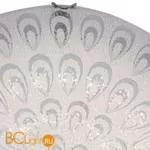 Настенно-потолочный светильник ST Luce Universale SL491.552.01 - Фото 0