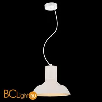 Подвесной светильник ST Luce SL339.503.01 - Фото 0