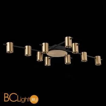 Потолочная люстра ST Luce Veroli SL1207.402.10 - Фото 2