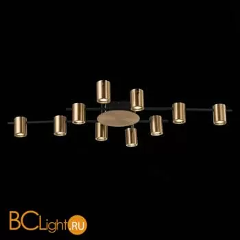 Потолочная люстра ST Luce Veroli SL1207.402.10 - Фото 3