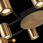 Потолочная люстра ST Luce Veroli SL1207.402.10 - Фото 4