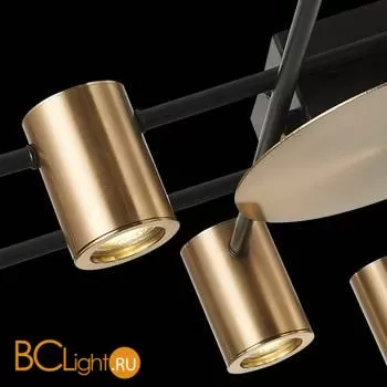 Потолочная люстра ST Luce Veroli SL1207.402.08 - Фото 4