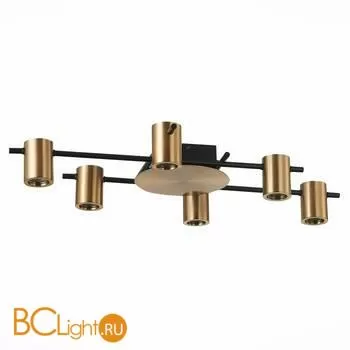 Потолочная люстра ST Luce Veroli SL1207.402.06