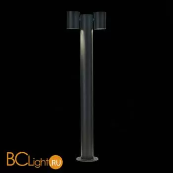 Садово-парковый фонарь ST Luce Visioni SL9003.405.02 - Фото 3