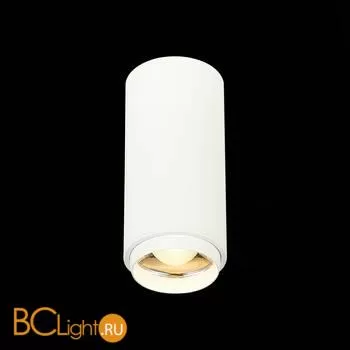 Потолочный светильник ST Luce Zoom ST600.532.10 - Фото 1