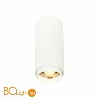 Потолочный светильник ST Luce Zoom ST600.532.10