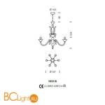 Люстра Sylcom Pisani 1431/6 D FU.ORO - Схема