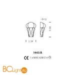 Бра Sylcom Tiepolo 1443/A INOX AS - Схема