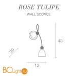 Бра Terzani Rose Tulipe E70A F6 A3 - Схема