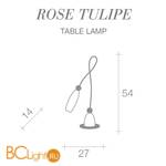 Настольная лампа Terzani Rose Tulipe E60B F6 A3 - Схема