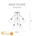 Потолочная люстра Terzani Rose Tulipe E62S F1 C3 - Схема