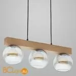 Подвесной светильник TK Lighting Artwood 4254 Artwood Glass