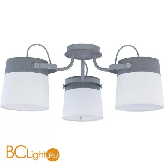 Потолочная люстра TK Lighting Modern 1743