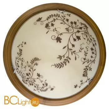 Потолочный светильник Toplight Irene TL9630Y-00OA