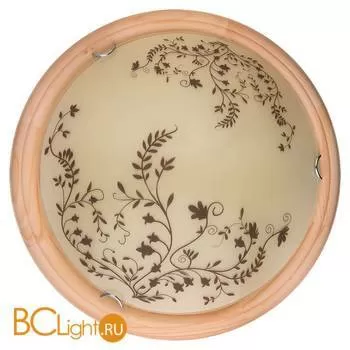 Потолочный светильник Toplight Irene TL9630Y-00PN