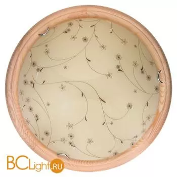 Потолочный светильник Toplight Karissa TL9650Y-00PN