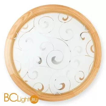 Настенно-потолочный светильник Toplight Kelly TL9043Y-02PN