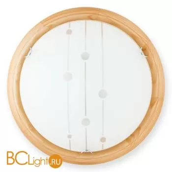 Настенно-потолочный светильник Toplight Madison TL9033Y-02PN