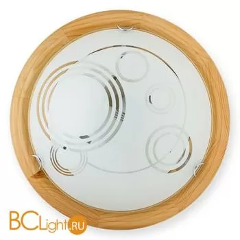 Настенно-потолочный светильник Toplight Margarete TL9003Y-02PN
