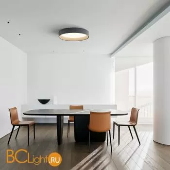 Потолочный светильник Vibia Duo 4872 18 /4A Graphite - Фото 0