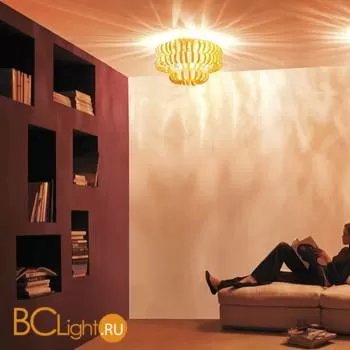 Потолочный светильник Vistosi Ecos PL 60A E27 AR CR