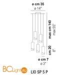 Подвесной светильник Vistosi Lio SP 5 P ALO CR/BC NI - Схема