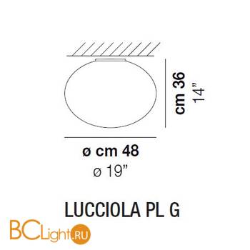 Потолочный светильник Vistosi Lucciola LUCCI PL G BCST BC E27 CE - Схема