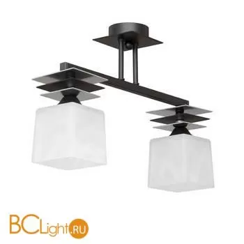 Потолочный светильник Vitaluce V4232/2PL