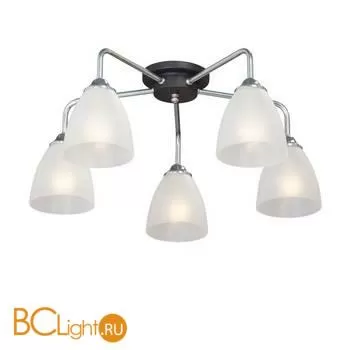 Люстра Vitaluce V4952-9/5PL