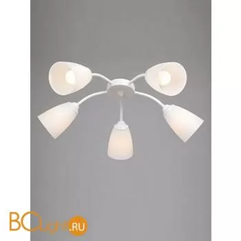 Люстра Vitaluce V3187 V3187-0/5PL - Фото 0