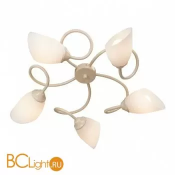 Люстра Vitaluce V3189 V3189/5PL