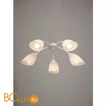 Люстра Vitaluce V3194 V3194/5PL - Фото 0