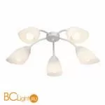 Люстра Vitaluce V3194 V3194/5PL