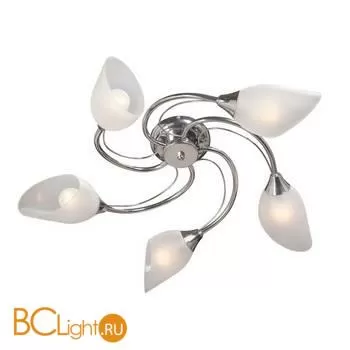 Накладная люстра Vitaluce V3236/5PL