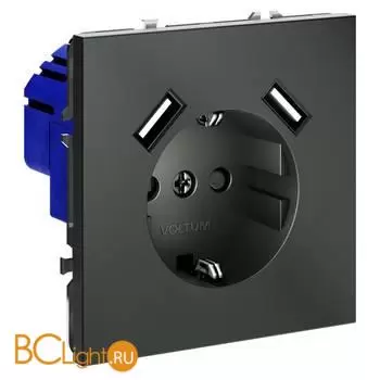 Розетка встраиваемая VOLTUM S70 с заземлением и защитными шторками, 16А, с USB, A+A, (титан) VLS040406 - Фото 1